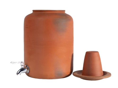 Discover the beauty of